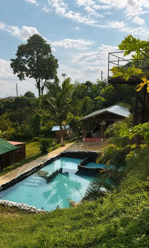 Piscina natural rodeada de vegetación en el glamping